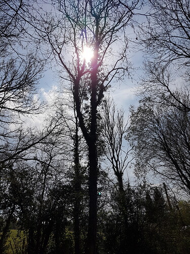 20190418_133444