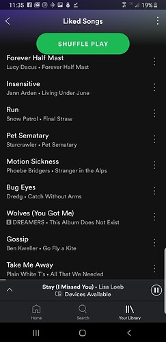 Screenshot_20190703-113523_Spotify