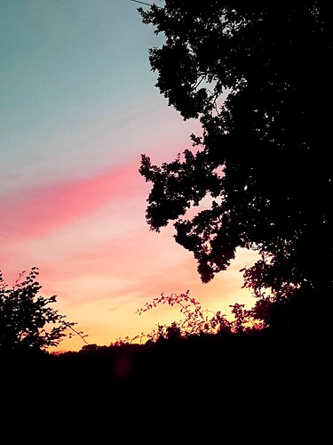 20190915_072810