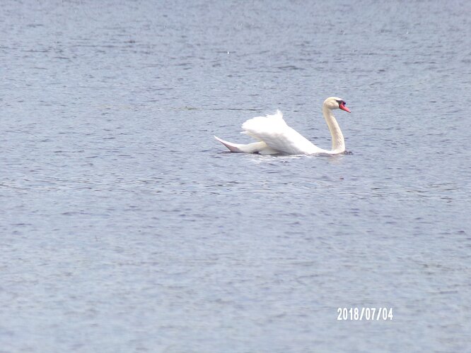 IMG_20200110_042153
