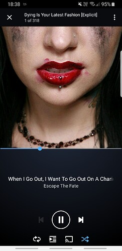 Screenshot_20200125-183827_Amazon Music