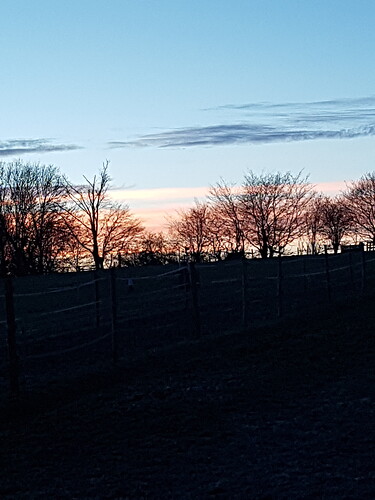 20190220_174201