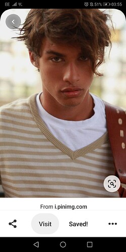 Screenshot_20200514_035558_com.pinterest