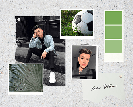 Xavier Mood Board (2.0)