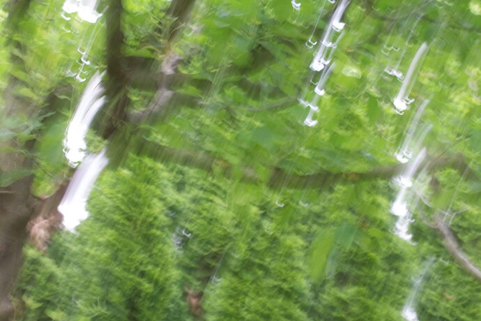 Flauna_Levanic_Mia_003