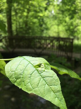 IMG_9560