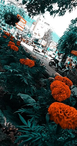 IMG_20200718_160725_056