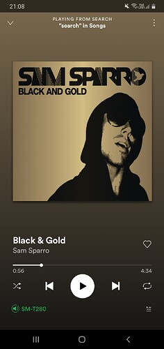 Screenshot_20200520-210857_Spotify