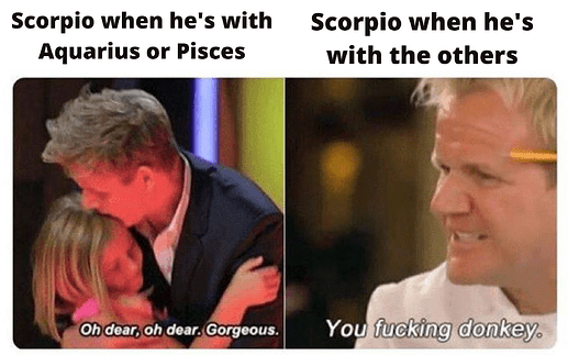 The zodiacs (4)