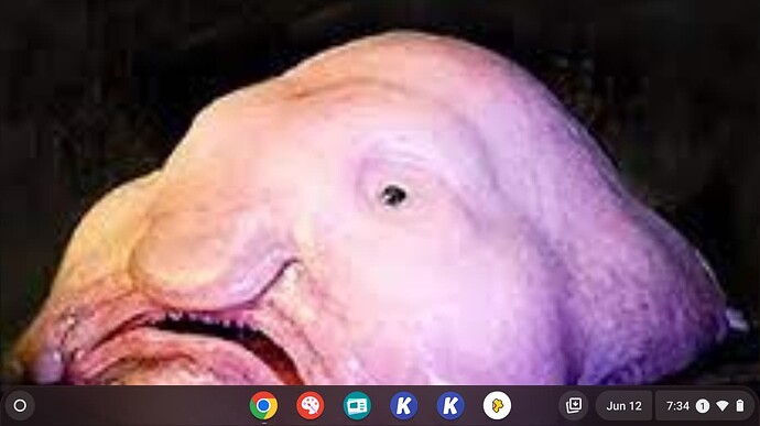 Screenshot 2023-06-12 7.34.03 AM
