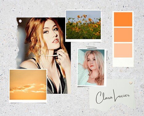 Clara Lucier Mood Board