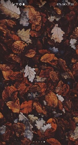 Screenshot_20201107_215603