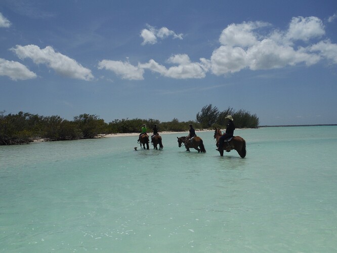 0BA80DE6-04A1-488F-802A-DDA145DE1635