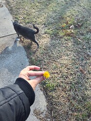 IMG_20240111_140329165_HDR