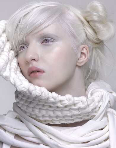 4d97f7273c4a387fd48d97c7d93ff334e3c6e834