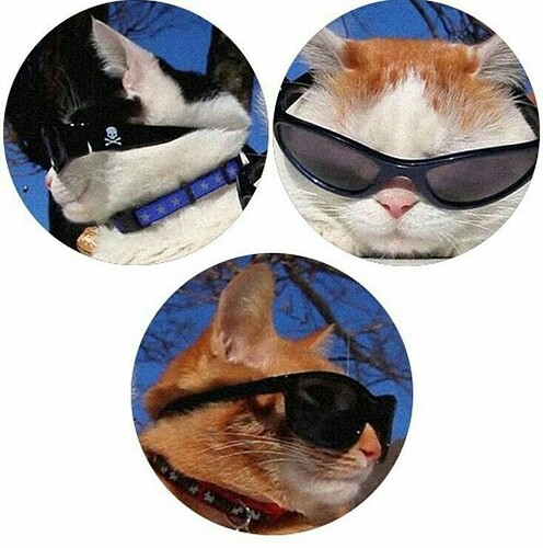 8828ded104c6f4e1abd412f10e232583