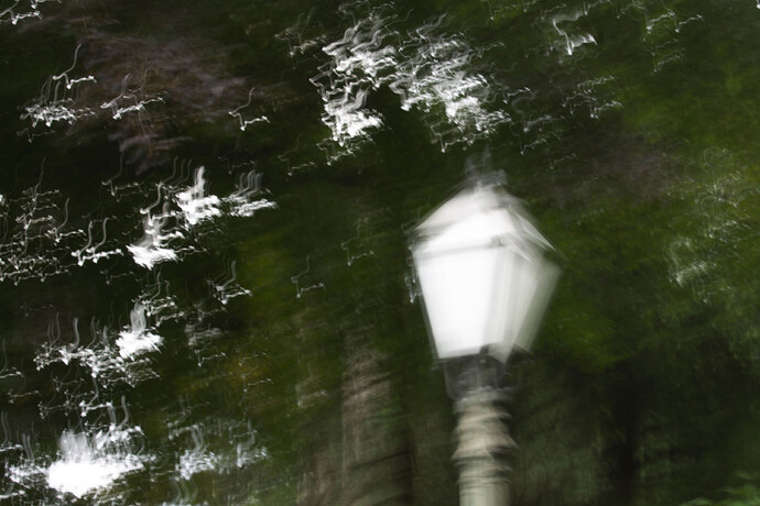 Flauna_Levanic_Mia_005