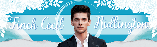finch name banner