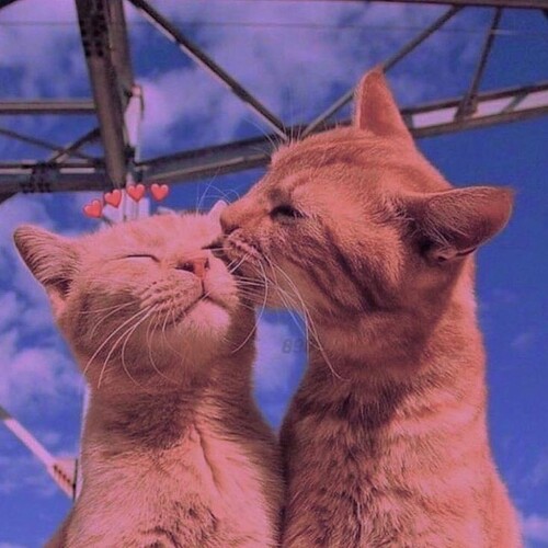 6c1232bef7f8c1052052e2ce0847443d