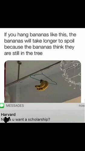 20200526_214245