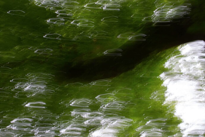 Flauna_Levanic_Mia_009