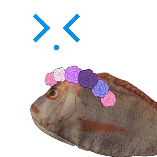 5FEE8316-4C70-4DE2-B342-7FB930C58DA7