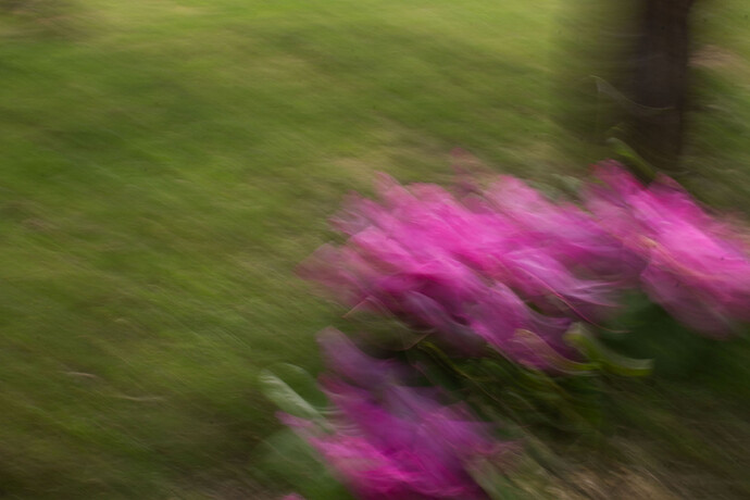 Flauna_Levanic_Mia_007