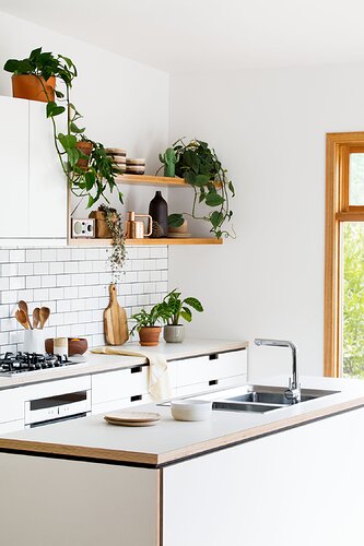 cantilever_cozy_plants_kitchen_green