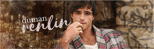 renlin board