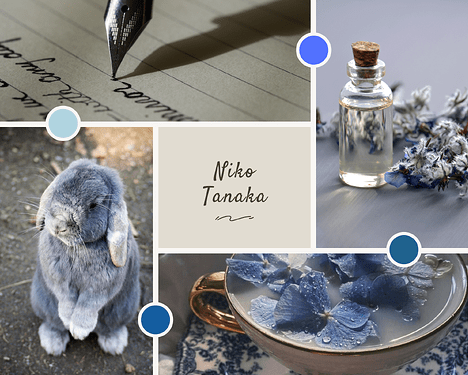 Niko Mood board