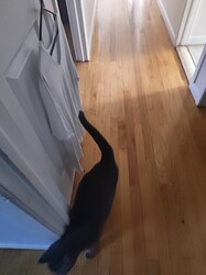 IMG_20240111_141353046