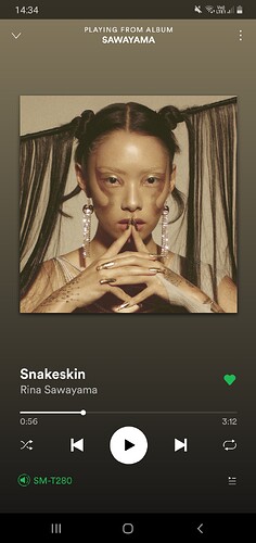 Screenshot_20200523-143452_Spotify