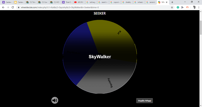 Wheel Decide _ Seeker - Google Chrome 24_05_2020 11_25_57