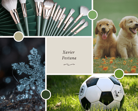 Xavier Mood board