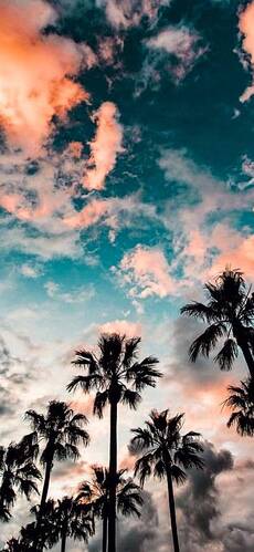 summer_vibes-b1c18bef-b23b-4956-b6d3-083bf2cc6031