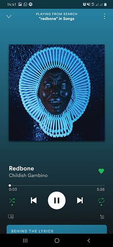 Screenshot_20200413-144103_Spotify
