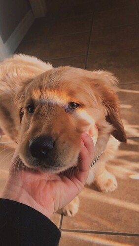 e40f9f6c8245b8c3591413a2734fb580