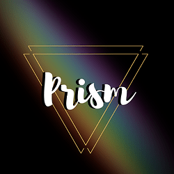 Prism Insta Promo (1)