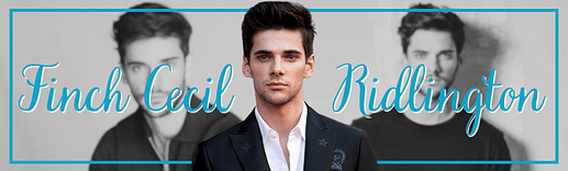 finch name banner 2.0