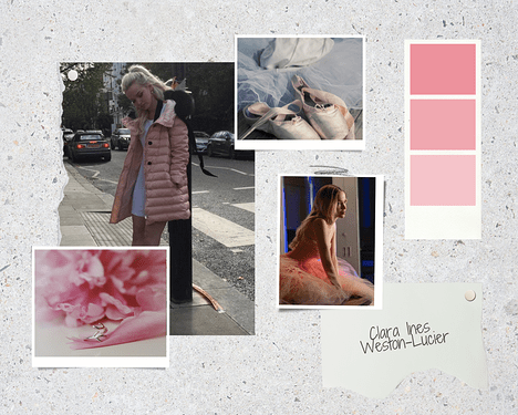 Clara Mood Board (2.0)