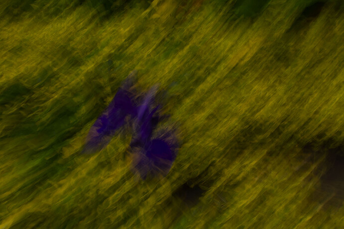 Flauna_Levanic_Mia_002