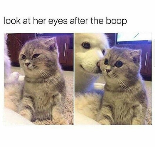 1602354123617