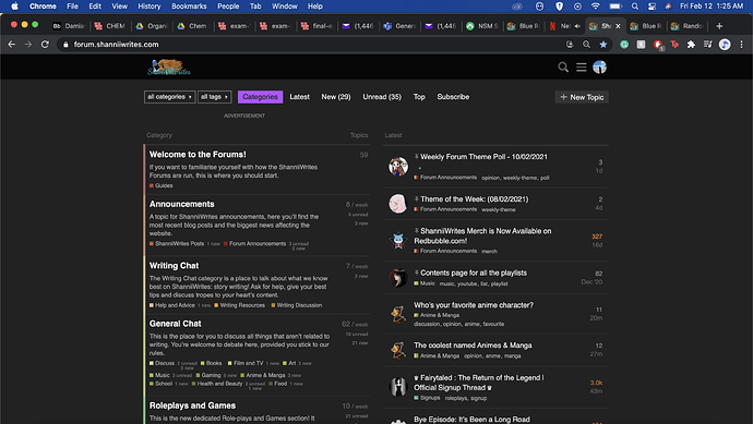 Screen Shot 2021-02-12 at 1.25.52 AM