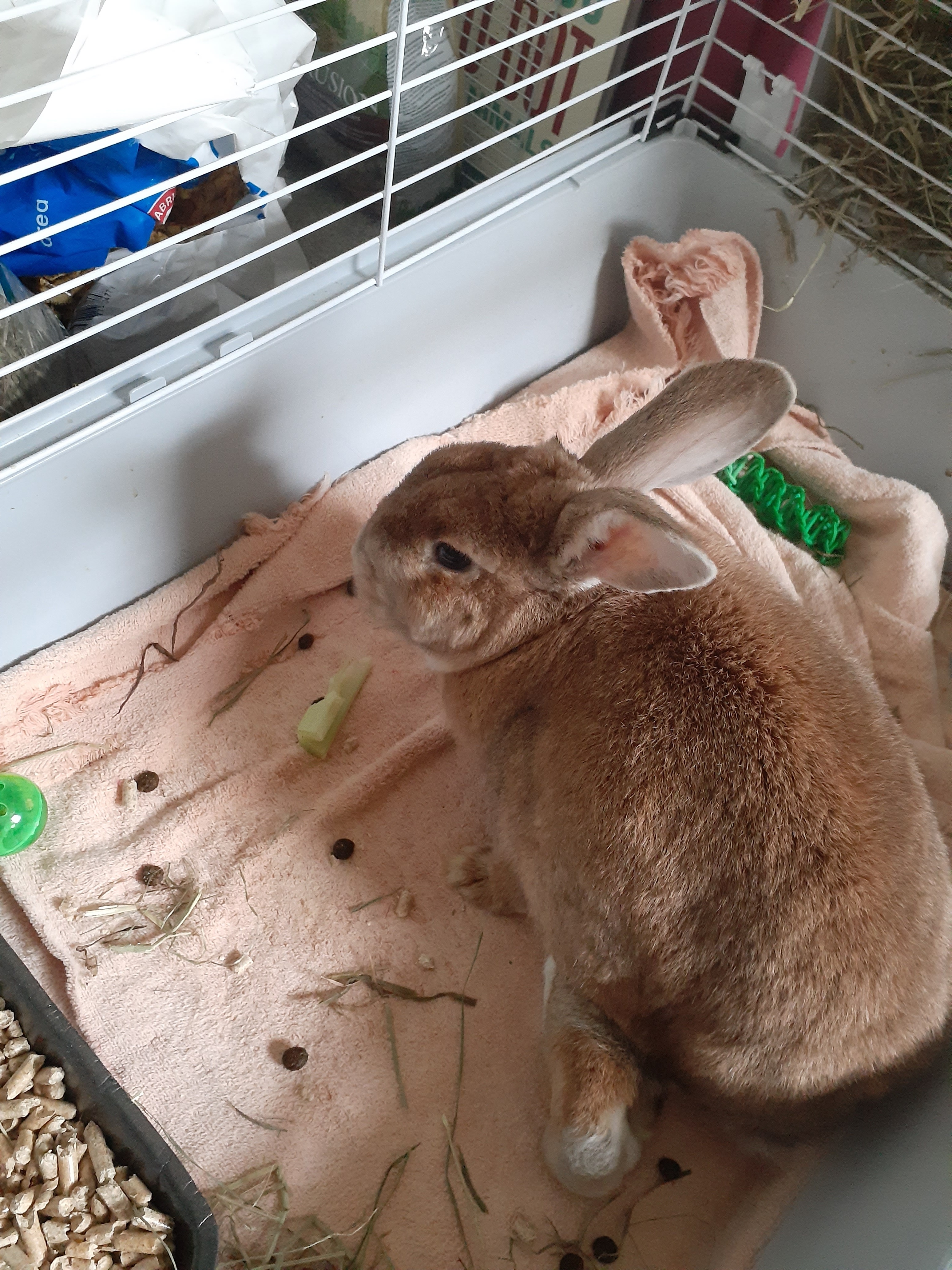 1615314039969298957596680793319