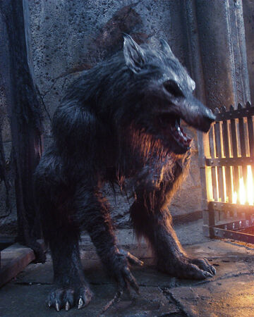 Underworld_-_Werewolf_2