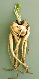 parsnipart