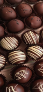 chocolate truffles