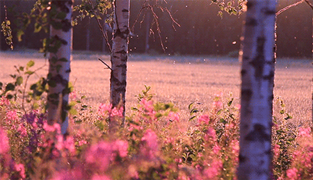 tumblr_ac72e30d18b707b007fd56a73f02c657_4907d76e_500